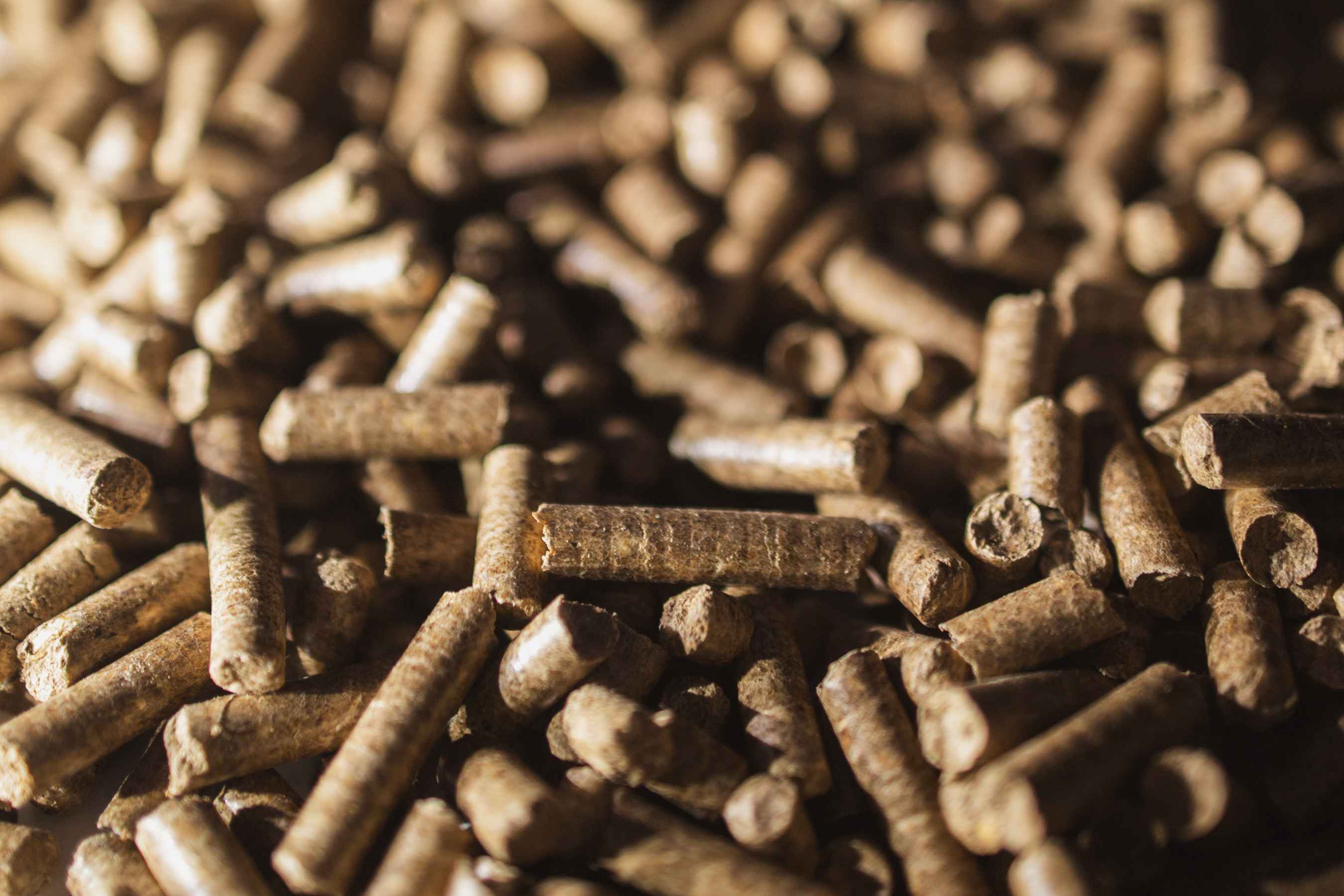 Jak wybrać dobry pellet?